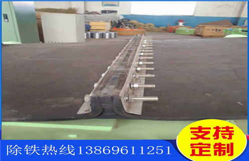 永磁好色先生入口下载APP，青海永磁好色先生入口下载APP距离皮带高度_参数_内部磁块安装方法_青海永磁好色先生入口下载APP距离皮带高度规格型号价格 